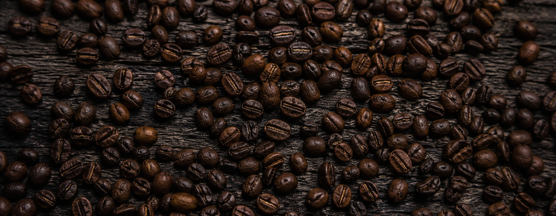 Coffera Roastery