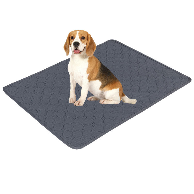 CosyGuard Washable Pad – Reusable Training & Comfort Pad