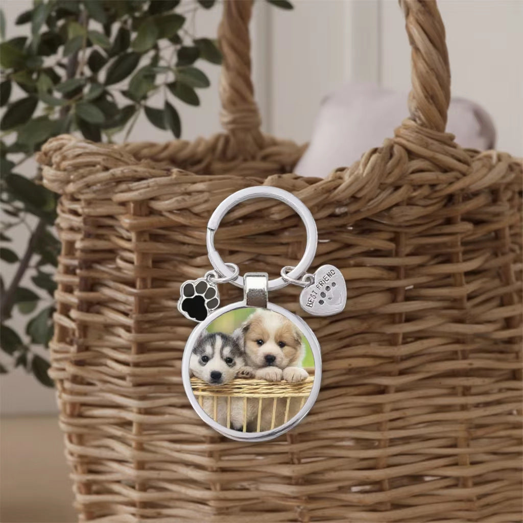 Wanderer ID Tag – Durable Pet & Bag Identification Keychain