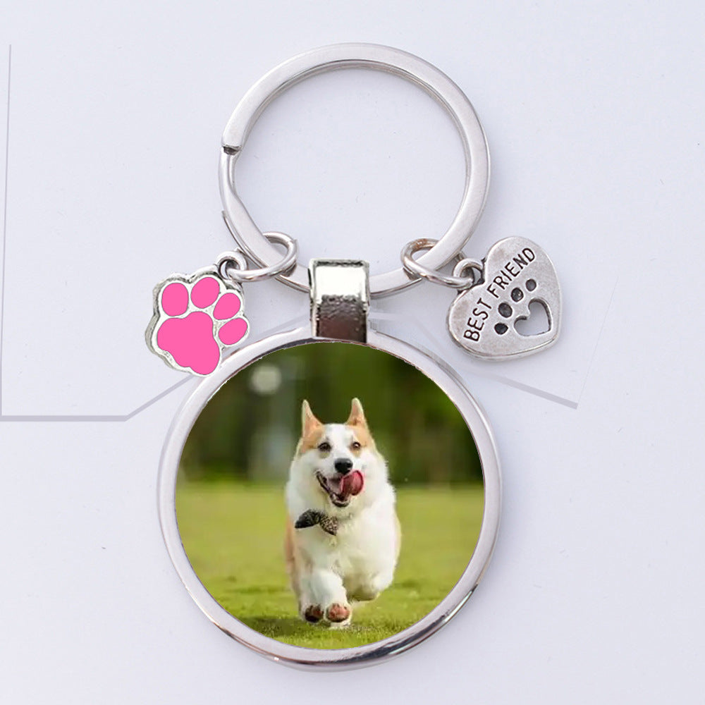 Wanderer ID Tag – Durable Pet & Bag Identification Keychain