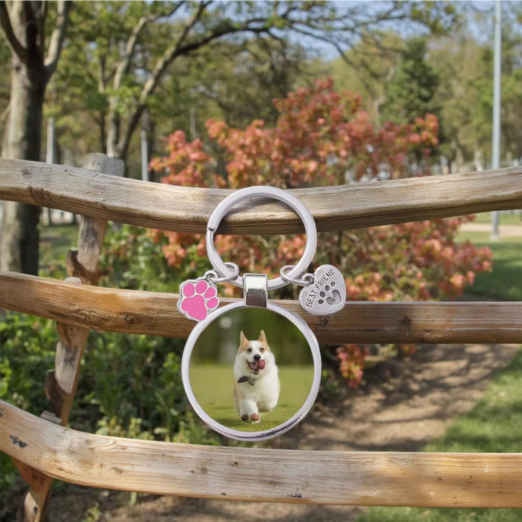 Wanderer ID Tag – Durable Pet & Bag Identification Keychain
