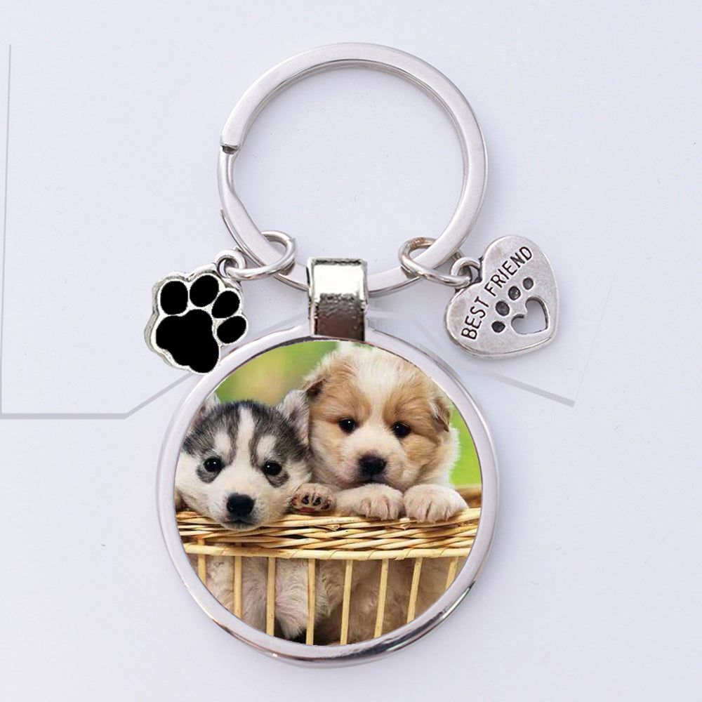 Wanderer ID Tag – Durable Pet & Bag Identification Keychain