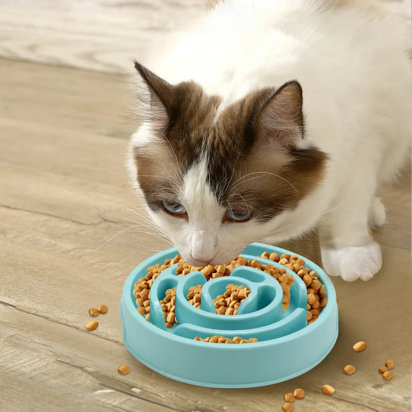 Mindful Slow Feeder Bowl – Anti-Gulping Bowl for Fast Eaters